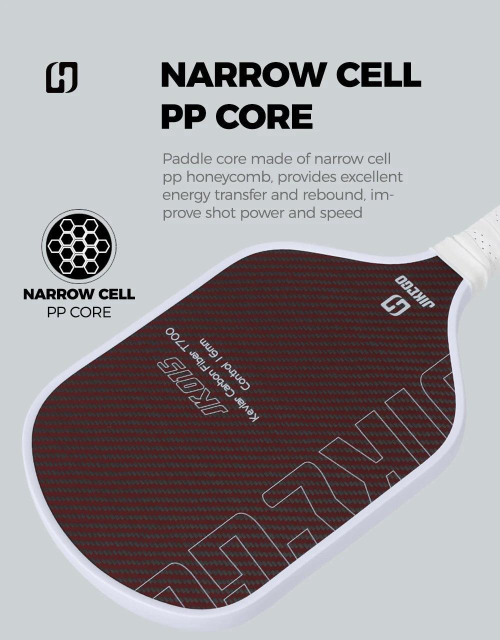 Hybrid Power Pickleball Paddle